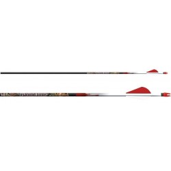 Стрелы Easton CARBON BLOODLINE 330 RED H NOCK AND HP INSERT 2" BLAZER VANES 6/PK